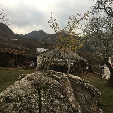 Polis Village